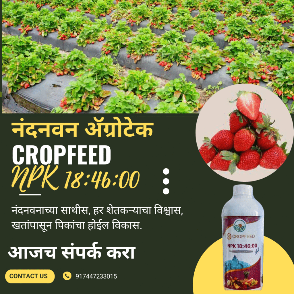 Green And Yellow Minimalist Agricurtural Consulting Services Instagram Post 1024x1024