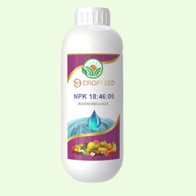 untitled design (10)