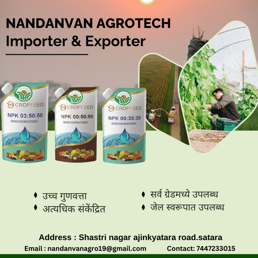 your paragraph text (17)